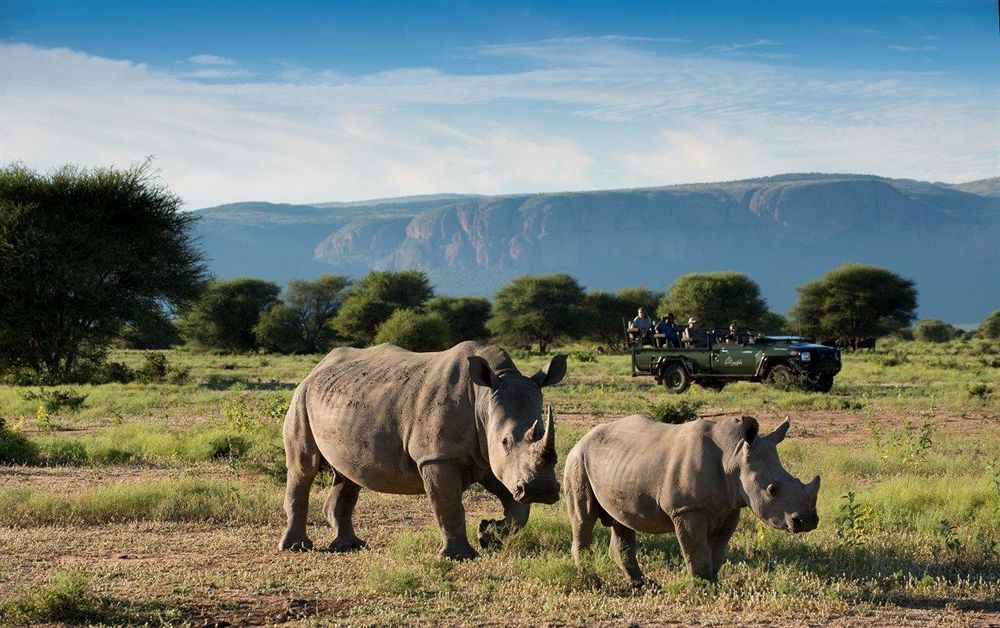 Marataba Safari Lodge Hartbeestfontein Dış mekan fotoğraf